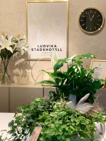 Imagen general del Hotel Ludvika Stadshotell. Foto 8