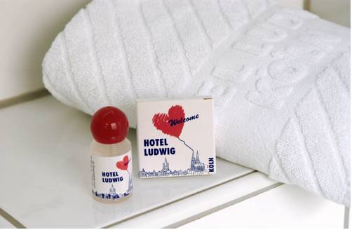 Imagen de la habitación del Hotel Ludwig Superior. Foto 11