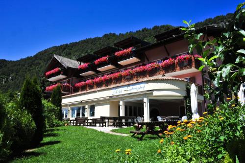Imagen general del Hotel Ludwigshof. Foto 6