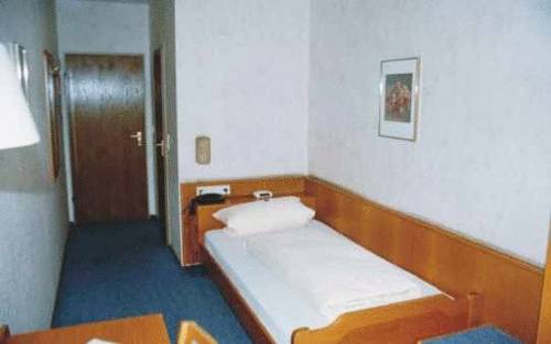 Imagen general del Hotel Ludwigstal. Foto 1