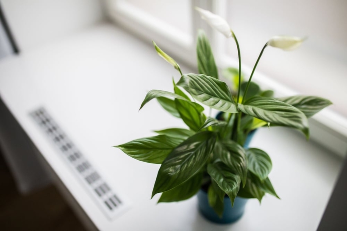 Imagen de la habitación del Hotel Luga Homes – Stadthaus. Foto 15