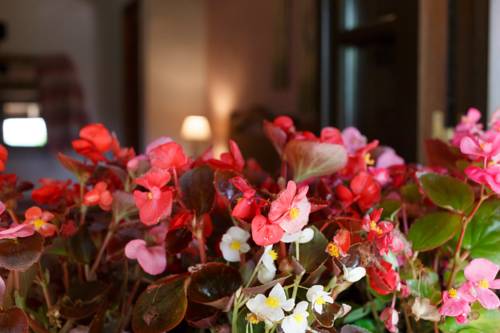 Imagen de la habitación del Hotel Lugar Dos Devas. Foto 2