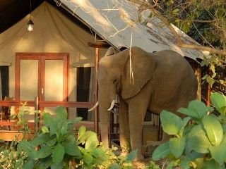 Imagen general del Hotel Lugenda Wilderness Camp. Foto 2