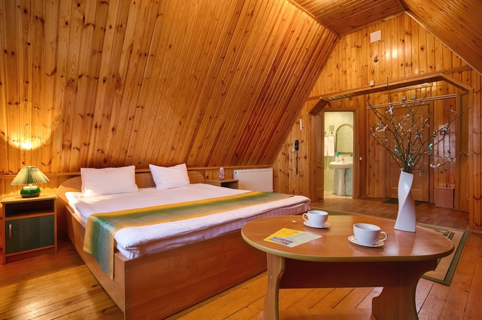Imagen de la habitación del Hotel Lukomorie. Foto 3