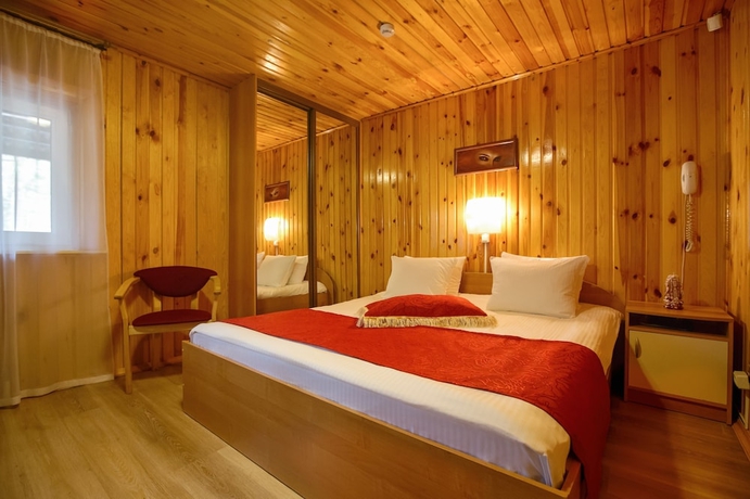Imagen de la habitación del Hotel Lukomorie. Foto 5