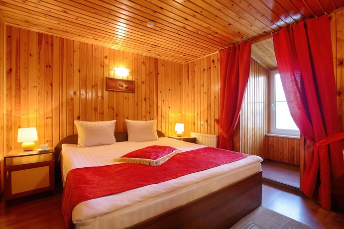 Imagen de la habitación del Hotel Lukomorie. Foto 8