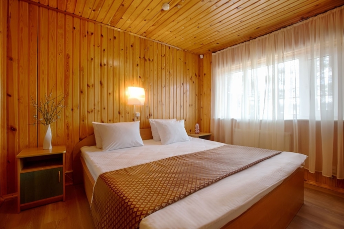 Imagen de la habitación del Hotel Lukomorie. Foto 10