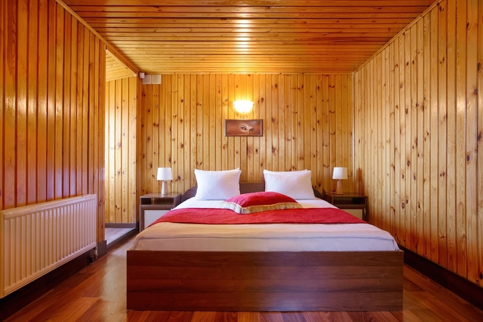 Imagen de la habitación del Hotel Lukomorie. Foto 12