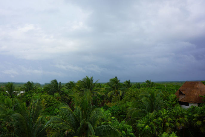 Imagen de la habitación del Hotel Lula Tulum - Colibri Boutique Hotels. Foto 6