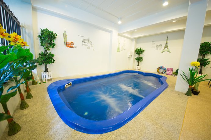 Imagen de la piscina del Hotel Lulu Hotel. Foto 19