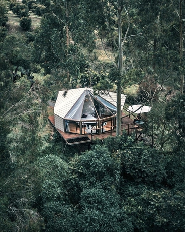 Imagen de la habitación del Hotel Lumbre Forest Lodge. Foto 13