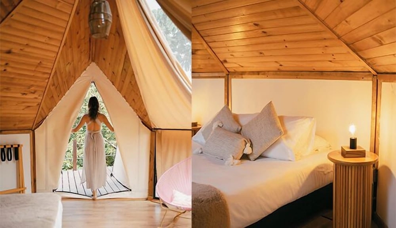 Imagen de la habitación del Hotel Lumbre Forest Lodge. Foto 15