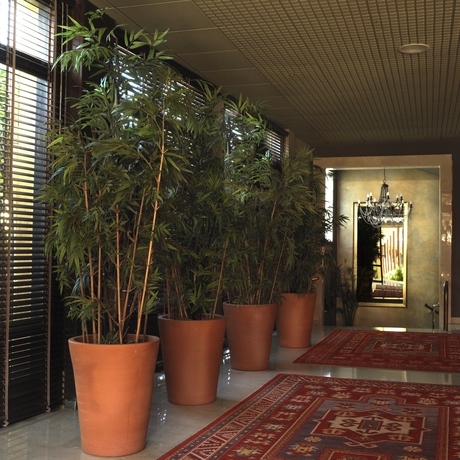 Imagen de los interiores del Hotel Luna Club Yoga and Spa. Foto 10