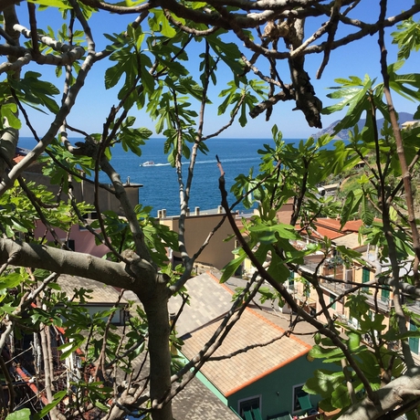 Imagen de los exteriores del Hotel Luna Di Marzo. Foto 4