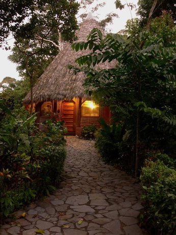 Imagen de la habitación del Hotel Luna Lodge. Foto 9