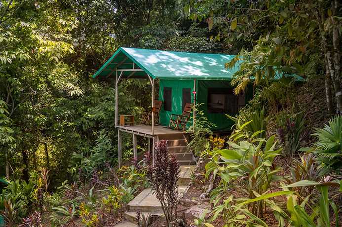 Imagen de la habitación del Hotel Luna Lodge. Foto 19