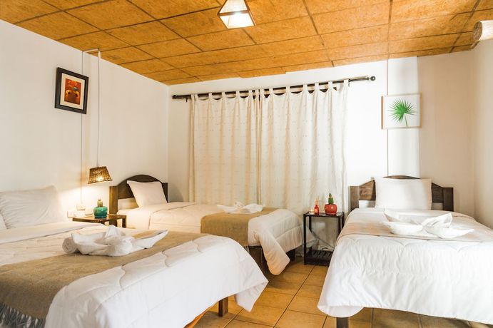 Imagen de la habitación del Hotel Luna Muna. Foto 13