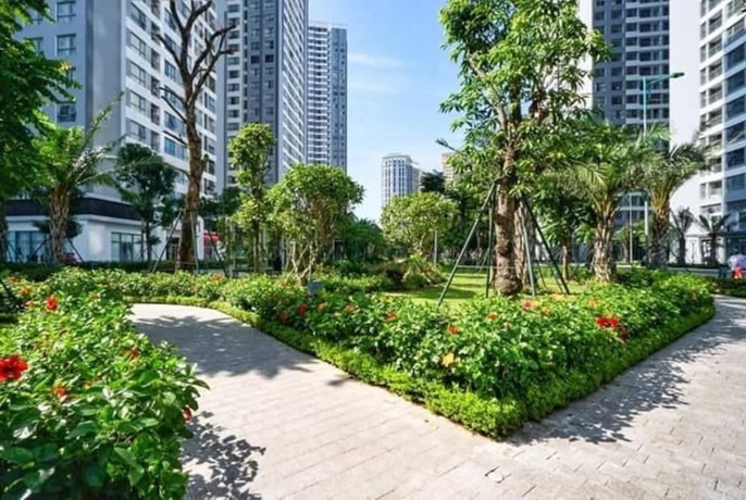Imagen general del Hotel Luna's Splendid Home. Foto 2