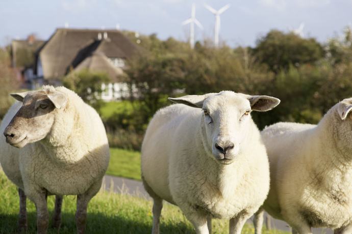 Imagen de los interiores del Hotel Lundenbergsand und Spa. Foto 14