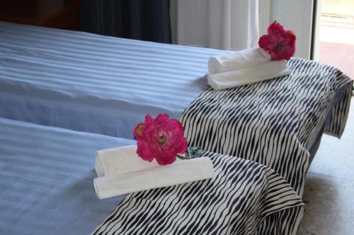 Imagen general del Hotel Lungomare, Andora. Foto 3