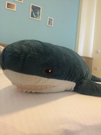 Imagen general del Hotel Luo Dong Traveler B&B. Foto 4