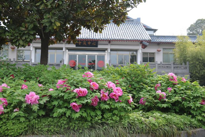 Imagen de los exteriores del Hotel Luoyang Dongshan. Foto 7