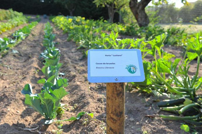 Imagen de los exteriores del Hotel Lusitania, Guarda. Foto 12