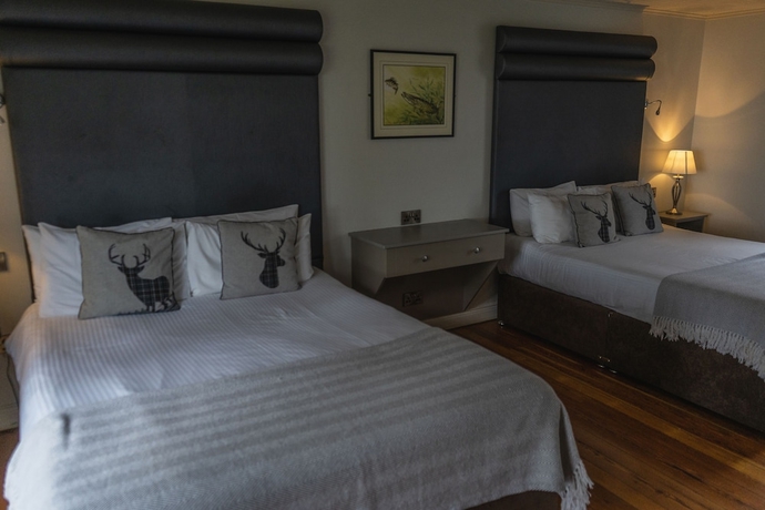 Imagen de la habitación del Hotel Lusty Beg Island. Foto 16