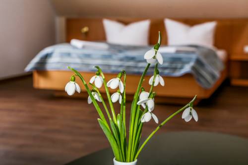 Imagen de la habitación del Hotel Luther Birke Wittenberg. Foto 7
