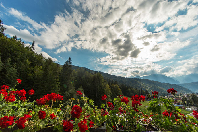 Imagen general del Hotel Lux Garden. Foto 2