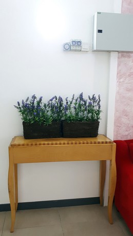 Imagen de la habitación del Hotel Lux Private. Foto 12