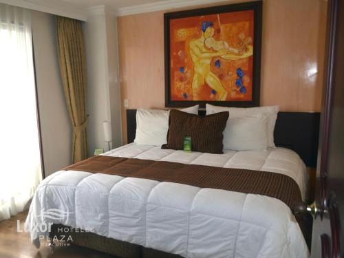 Imagen general del Hotel Luxor Plaza. Foto 2