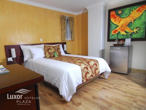 Imagen general del Hotel Luxor Plaza. Foto 5