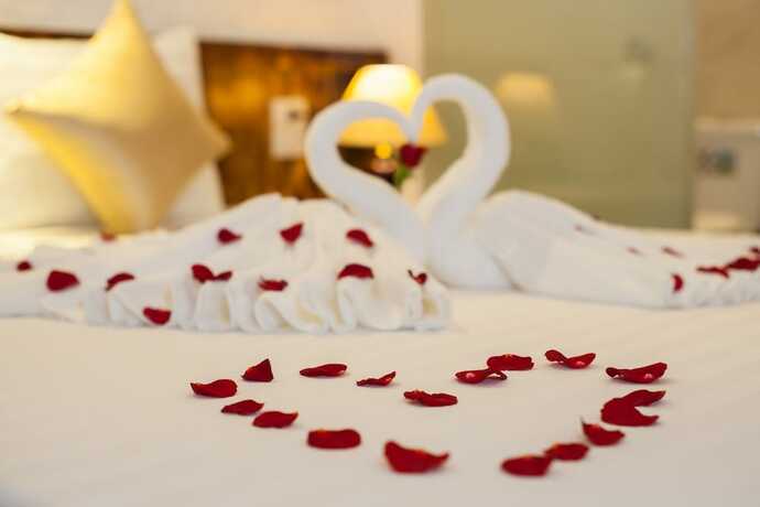 Imagen general del Hotel Luxury Backpackers. Foto 8