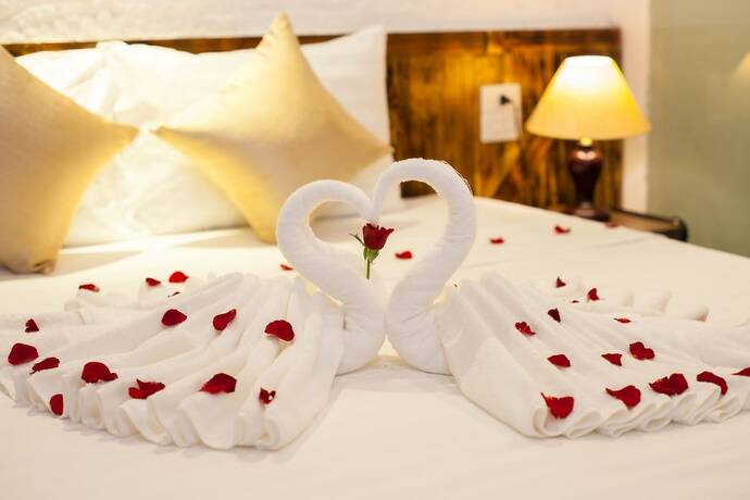 Imagen de la habitación del Hotel Luxury Backpackers. Foto 12