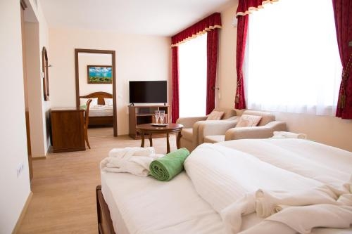 Imagen de la habitación del Hotel Luxury Spa & Conference. Foto 7