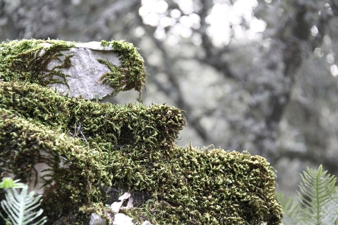 Imagen de los exteriores del Hotel Luz Charming Houses. Foto 9