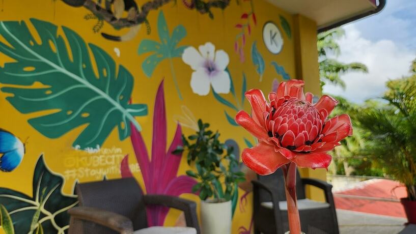 Imagen general del Hotel Luz de Luna Bahia Ballena. Foto 2