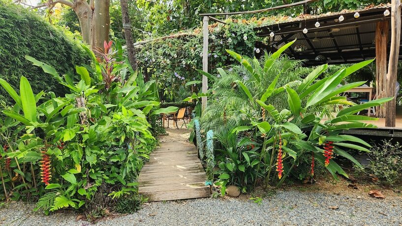 Imagen general del Hotel Luz de Luna Bahia Ballena. Foto 12