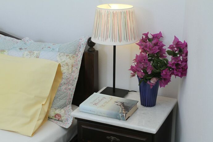 Imagen general del Hotel Lykomides. Foto 9