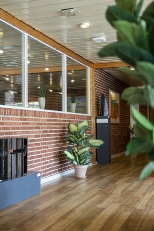 Imagen de los interiores del Hotel Lynggaarden. Foto 15