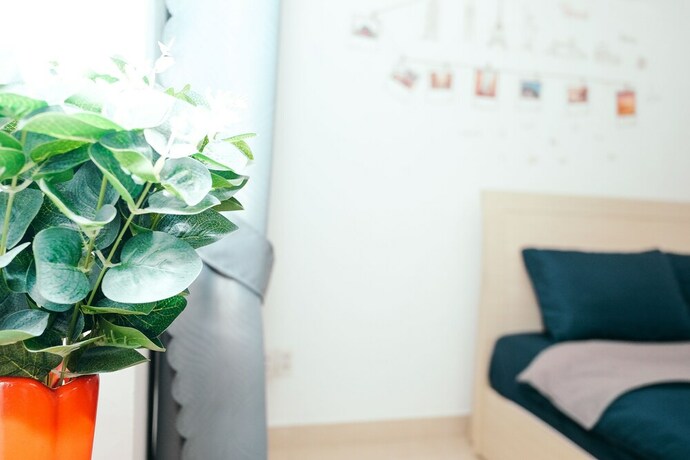Imagen de la habitación del Hotel Lynnwood Boutique House. Foto 12