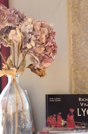 Imagen general del Hotel Lyon Charité Hotel. Foto 4