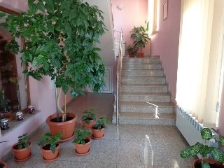 Imagen general del Hotel Lyra. Foto 2