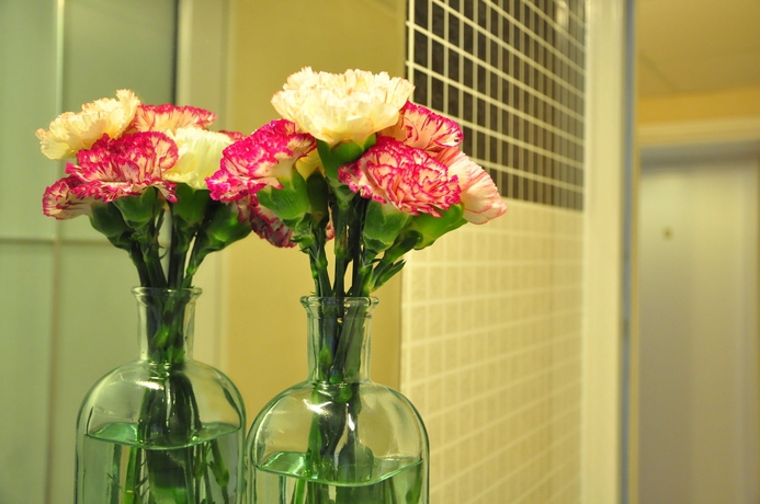 Imagen de los interiores del Hotel Lyton House. Foto 10