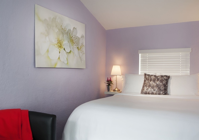 Imagen de la habitación del Hotel M Boutique, Miami. Foto 7