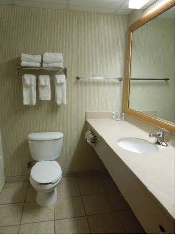 Imagen de la habitación del Hotel M Mount Pocono. Foto 8