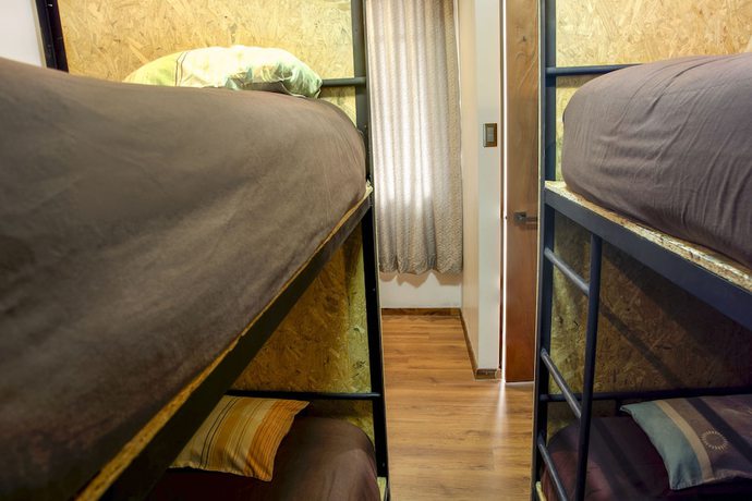 Imagen de la habitación del Hotel MAGIC PACKER HOSTEL. Foto 11