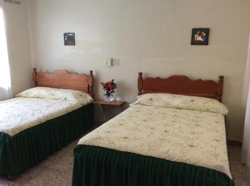 Imagen general del Hotel MANSION DEL VIEJO ROBLE. Foto 2