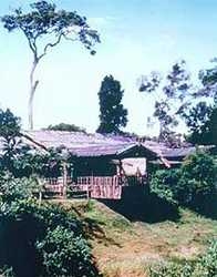 Imagen de los exteriores del Hotel MARA SAFARI CLUB. Foto 3